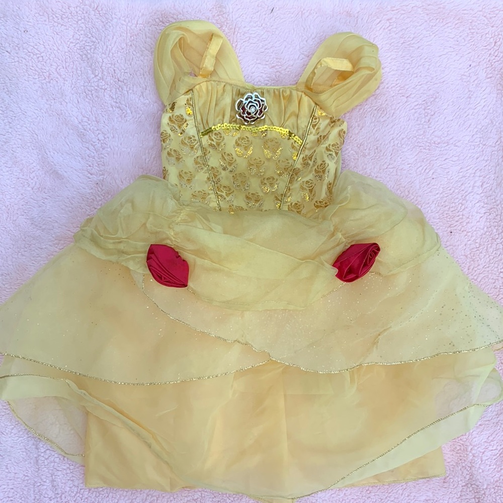 Disney princess Belle dress